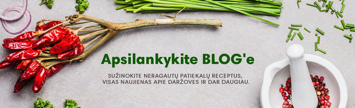 blog as