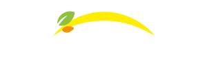 Bonduelle - Atgal į pagrindinį